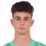 لورنزو توریانی